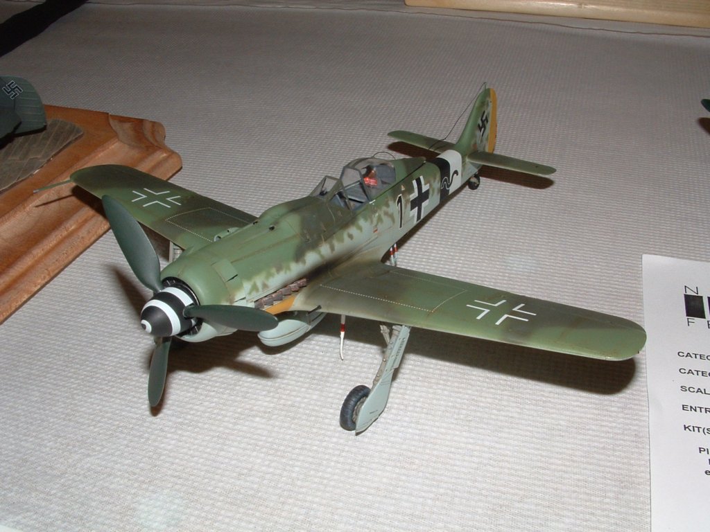 fw190d9.jpg