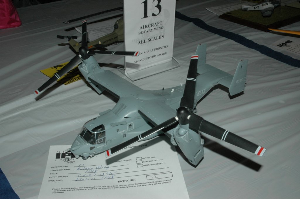 aircraftcategory13rotarywingallscales1stplace.jpg