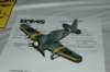 aircraftcategory3singleengineprop172_small.jpg